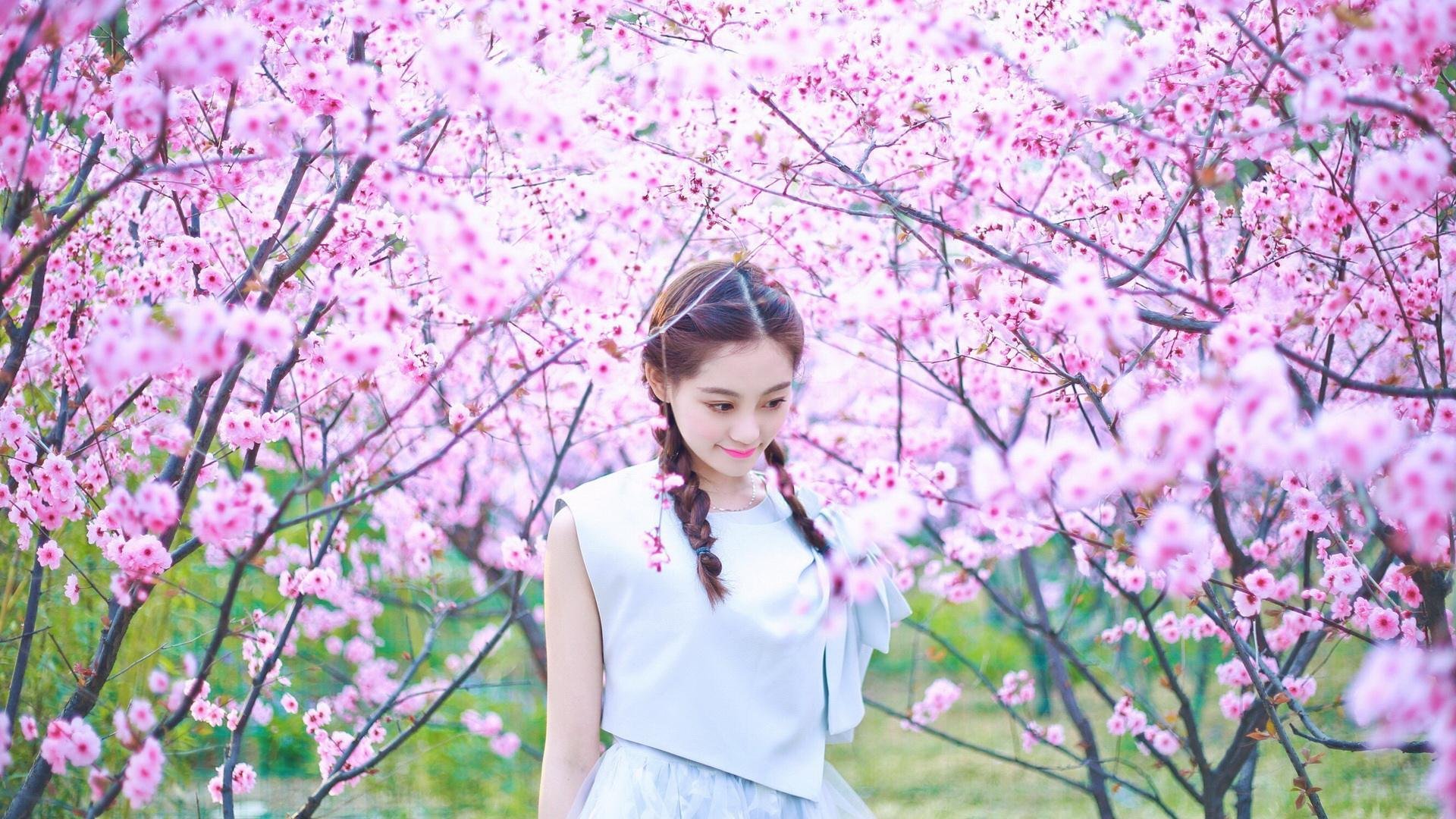 王者归来！国王横扫尼克斯，布克狂飙50分惊艳全场