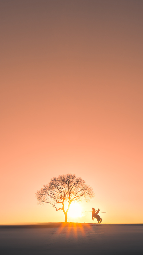 双重传奇，老将不朽与黑马腾飞，书写体育唯一性