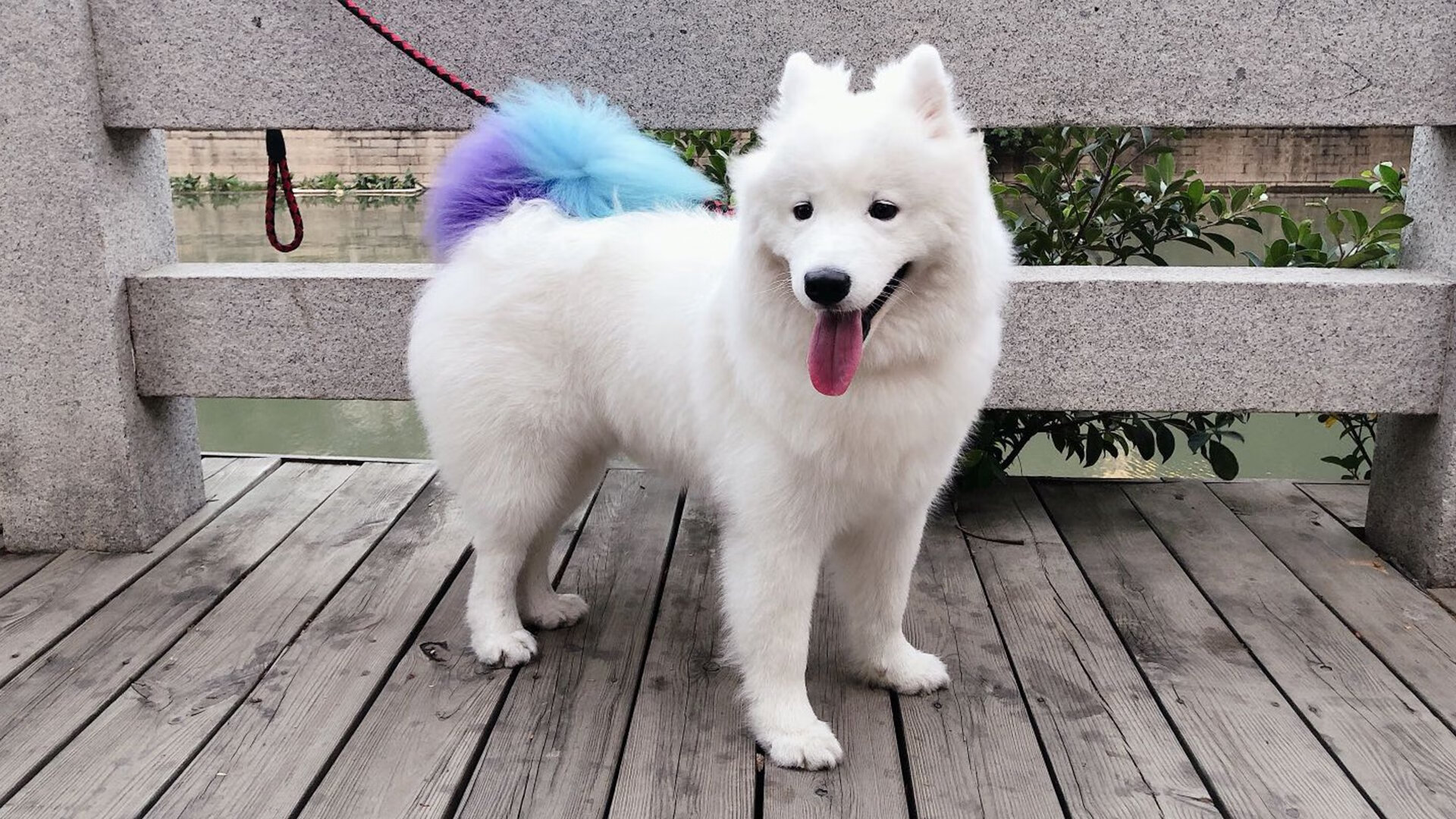 锡安掀翻巴克莱中心！骑士暴风骤雨收割篮网，新王炸数据宣告暴力美学归来