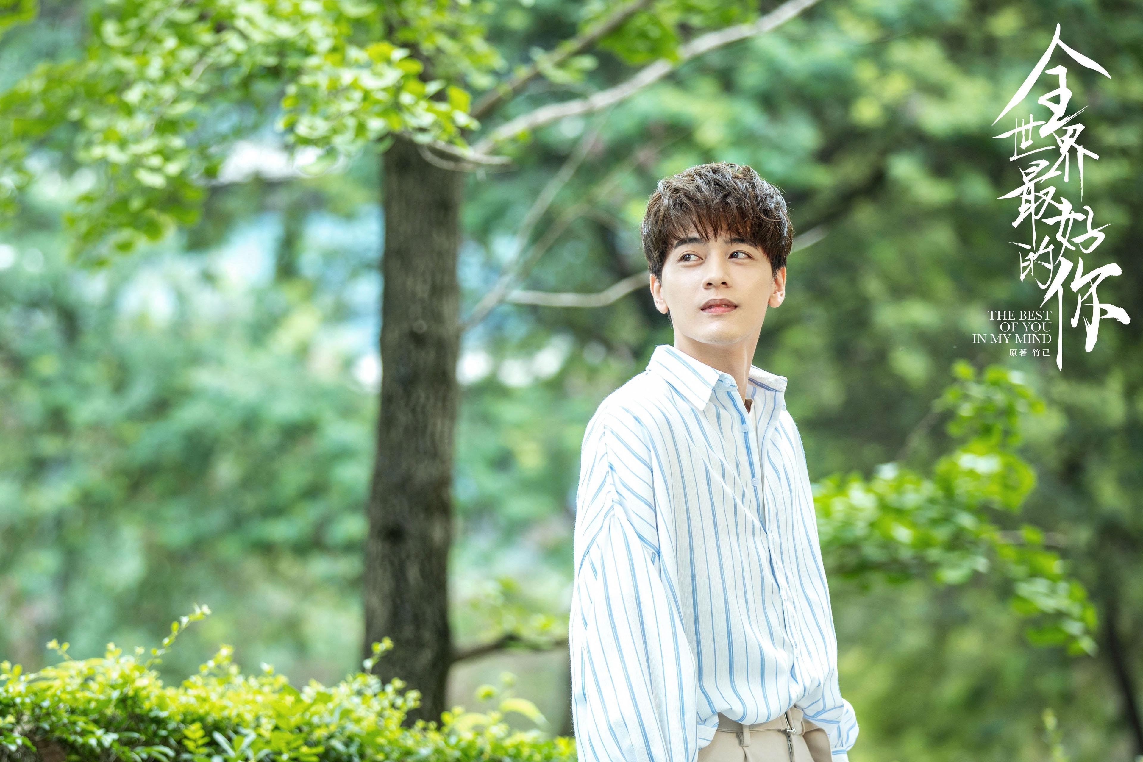 时空裂隙，当森林狼的嗥叫回荡在乌鲁木齐的夜空