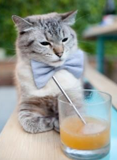 历史时刻的奇巧交汇,当约基奇当选MVP,广厦队正鏖战大洋彼岸的布鲁克林