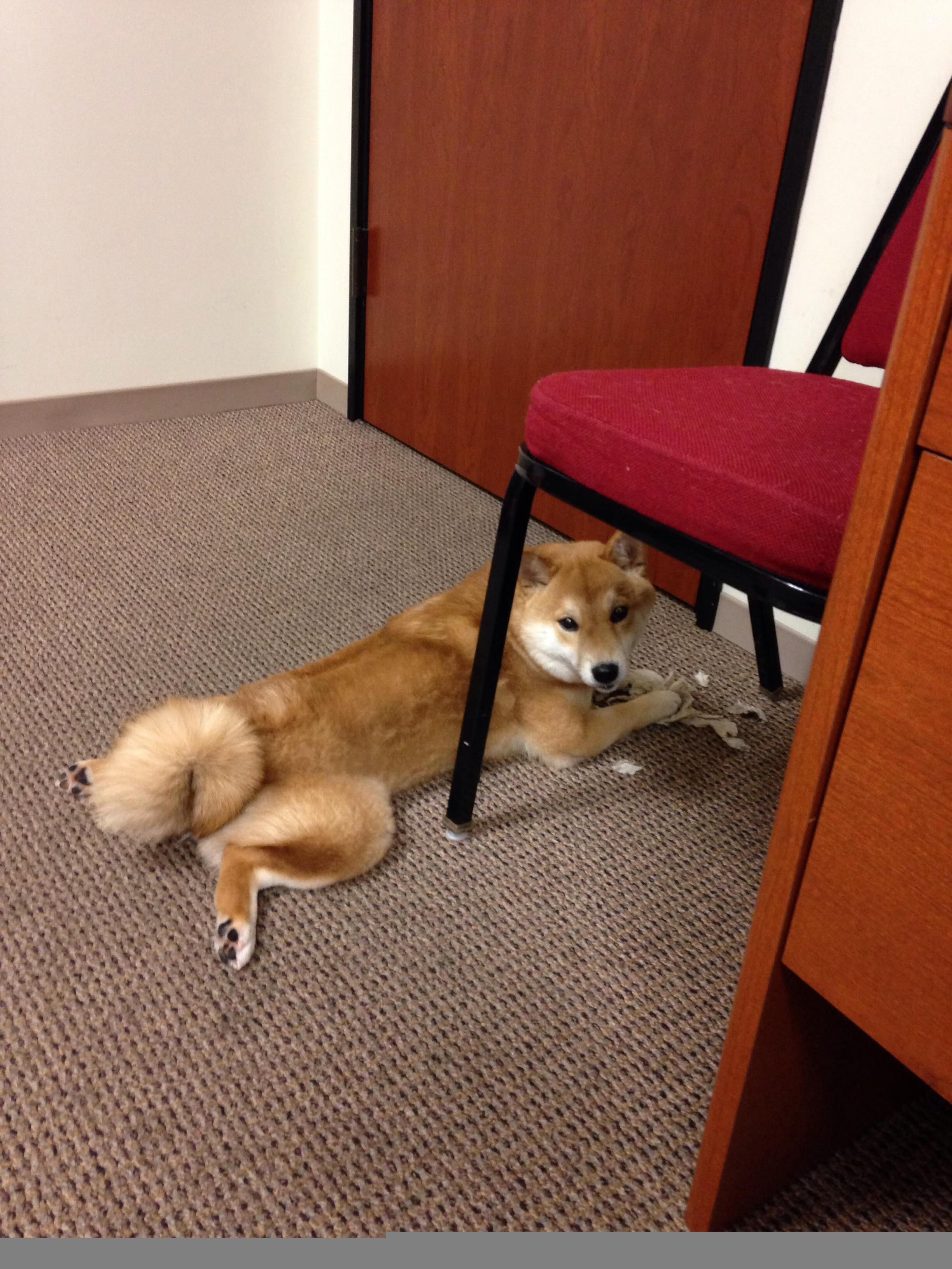 地球两端的同步脉动,当F1引擎在巴林嘶吼,足球在摩洛哥的夜色下鏖战