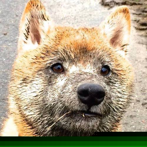 黄与蓝的虚构对决,当比利亚雷亚尔遇见厄瓜多尔