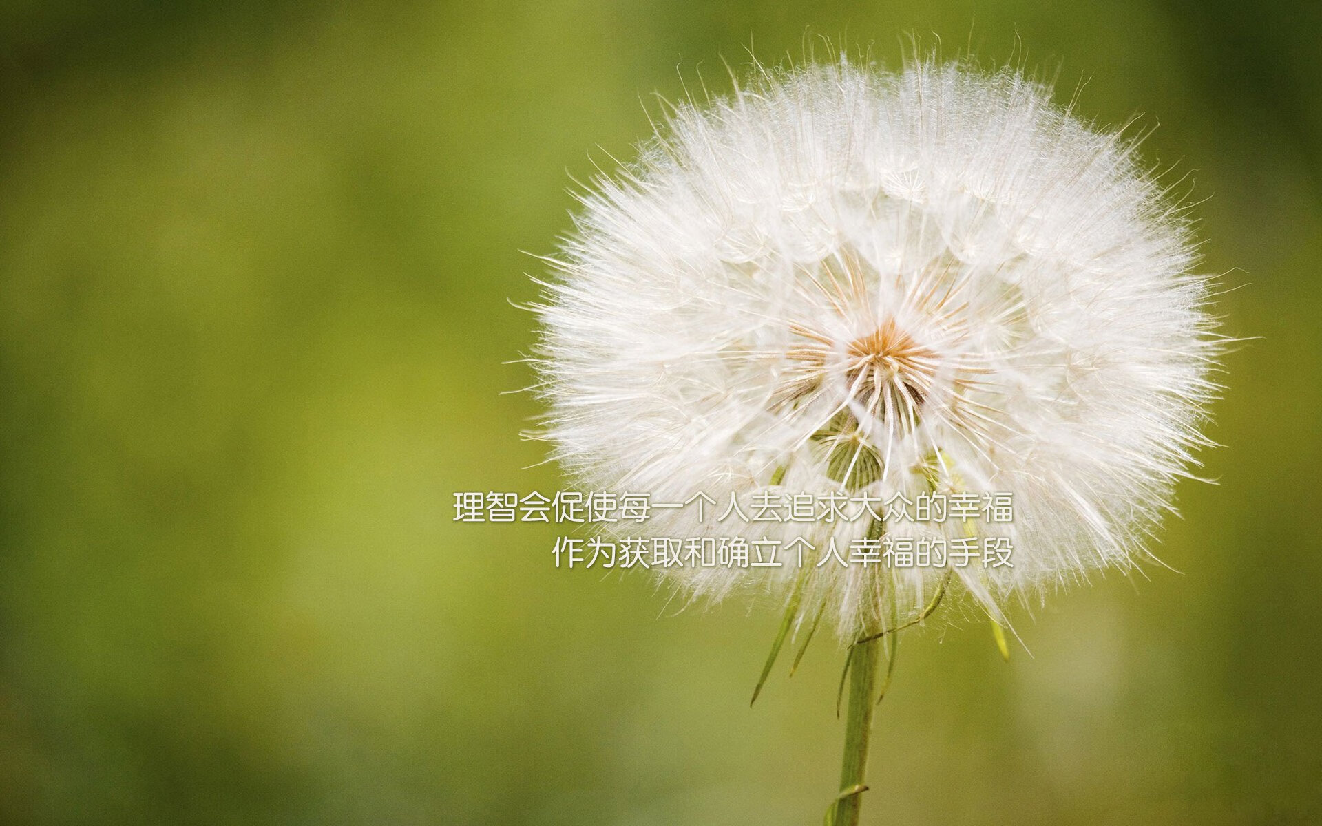 爱游戏官网-欧冠淘汰赛焦点战，切尔西力克莱比锡红牛，争冠征程再进一步