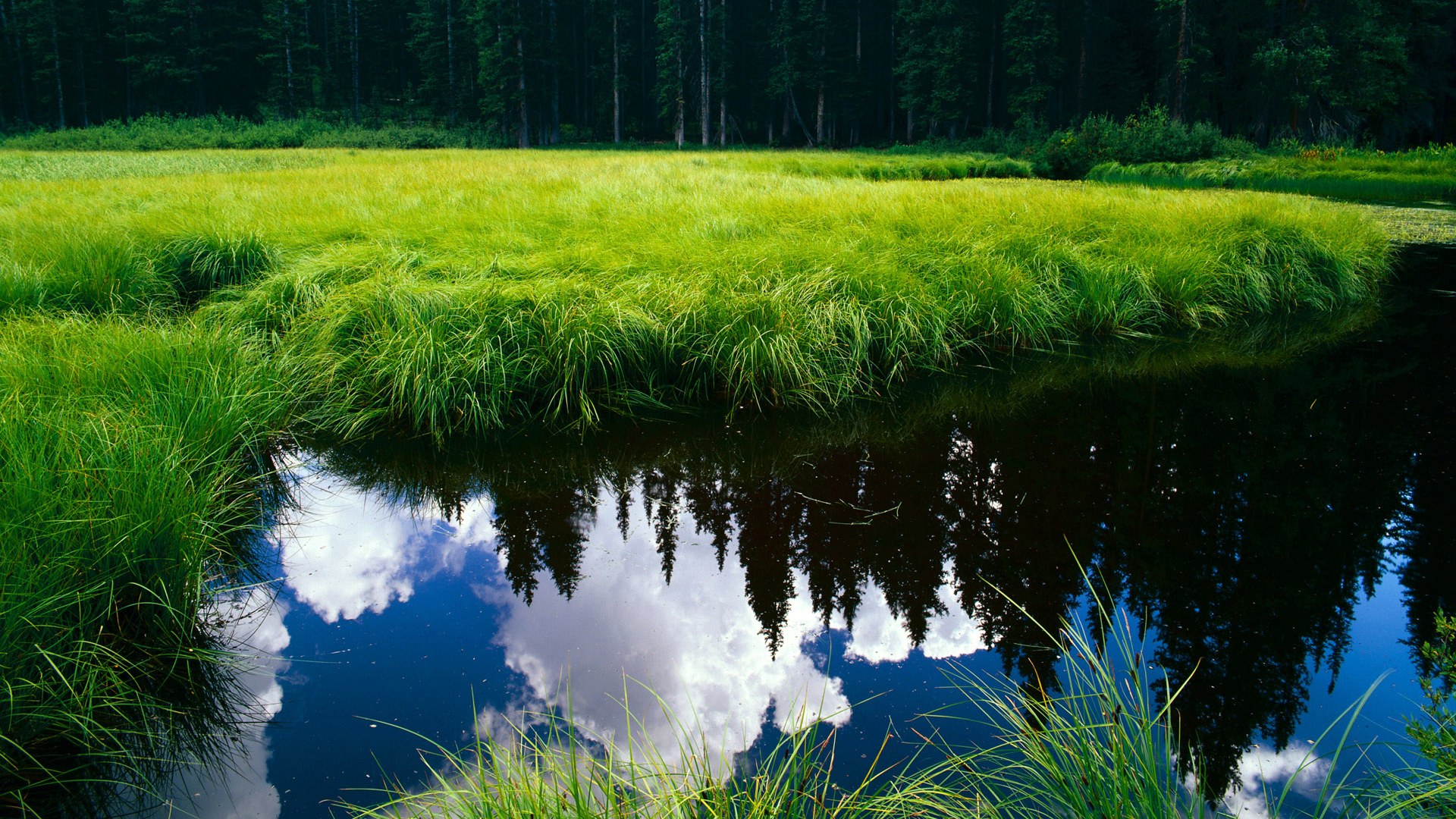爱游戏娱乐-中国长城击碎美式神话！平行宇宙篮球世界杯，山西队竟这样稳稳拿下勇士队，浓眉在美加墨三国战场接管比赛！