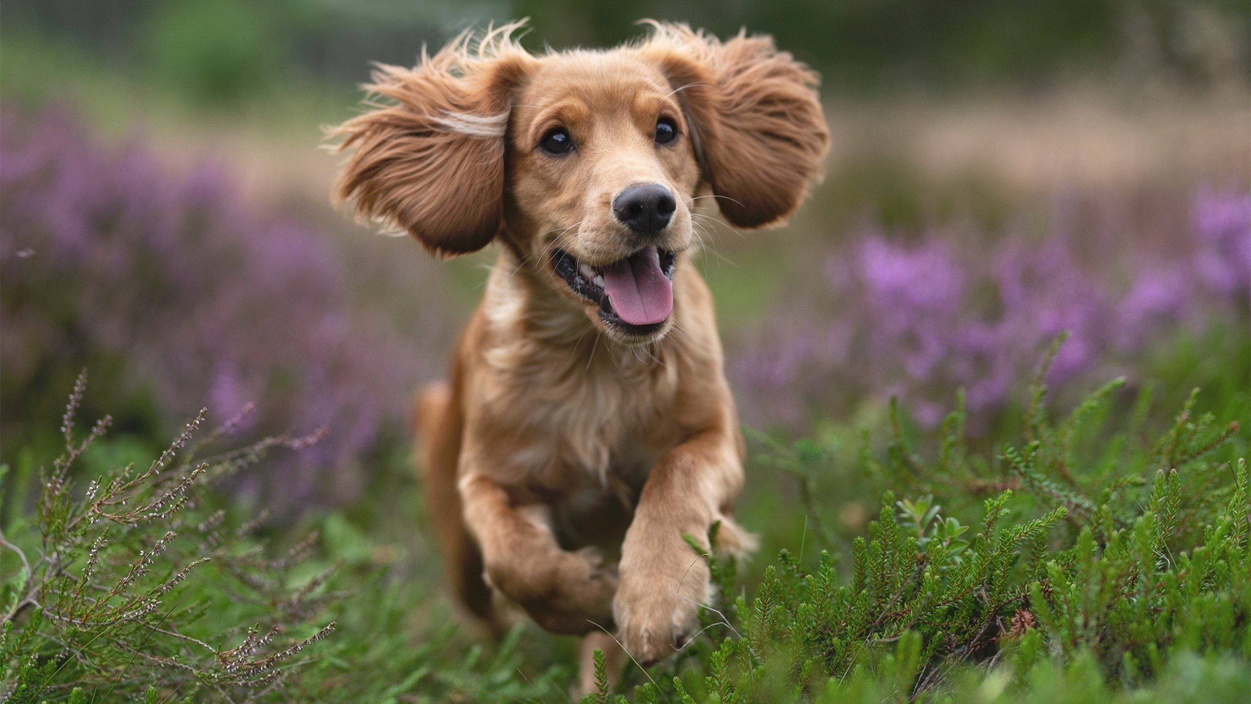 爱游戏官网-不期而遇，当争冠战与垫底翻盘在同一夜降临