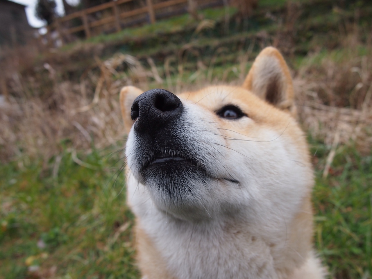 爱游戏tv-阿森纳式鏖战，当巴格达遇见欧冠决赛的布鲁诺