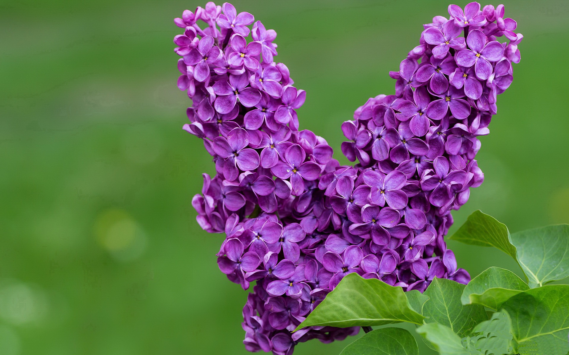 唯一性的证明，日本压制雷恩，贝林厄姆在世界排名争夺战中接管比赛