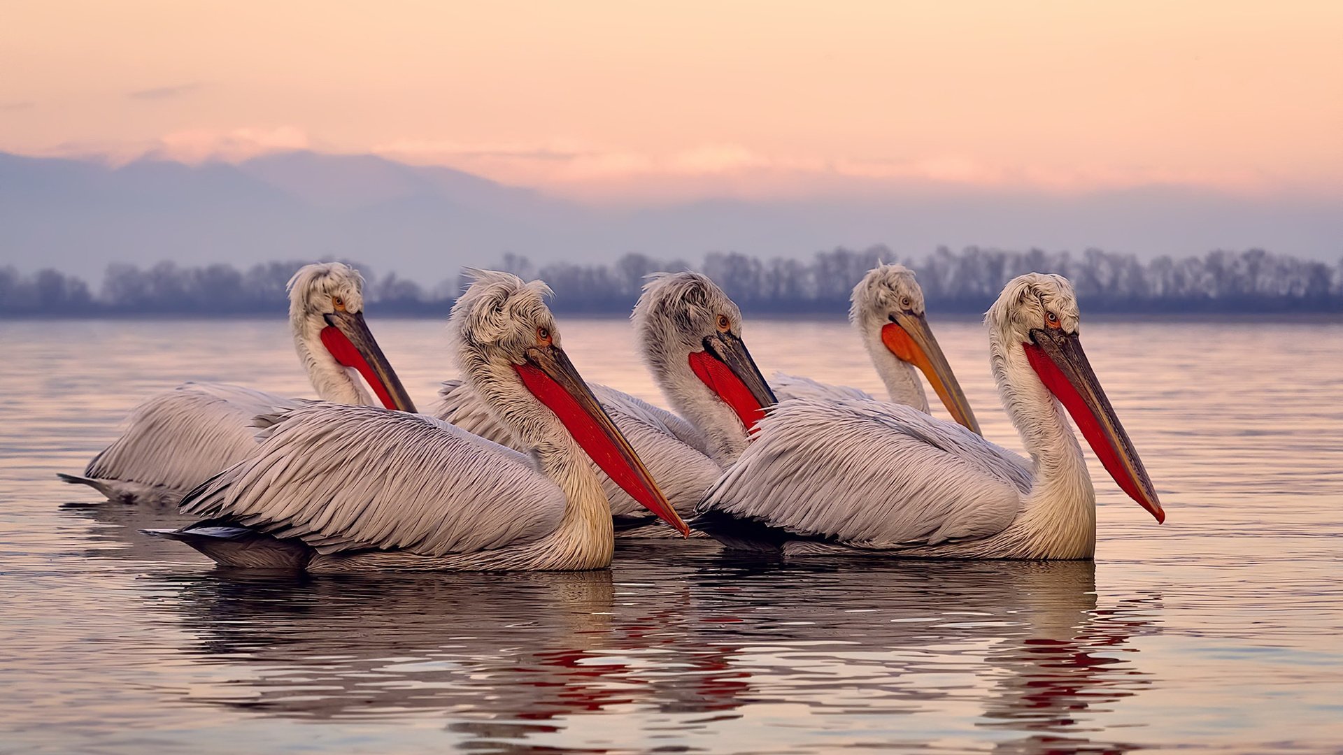 同夜双幕，若日尼奥的千次静默交响与莱比锡红牛的钢铁洪流