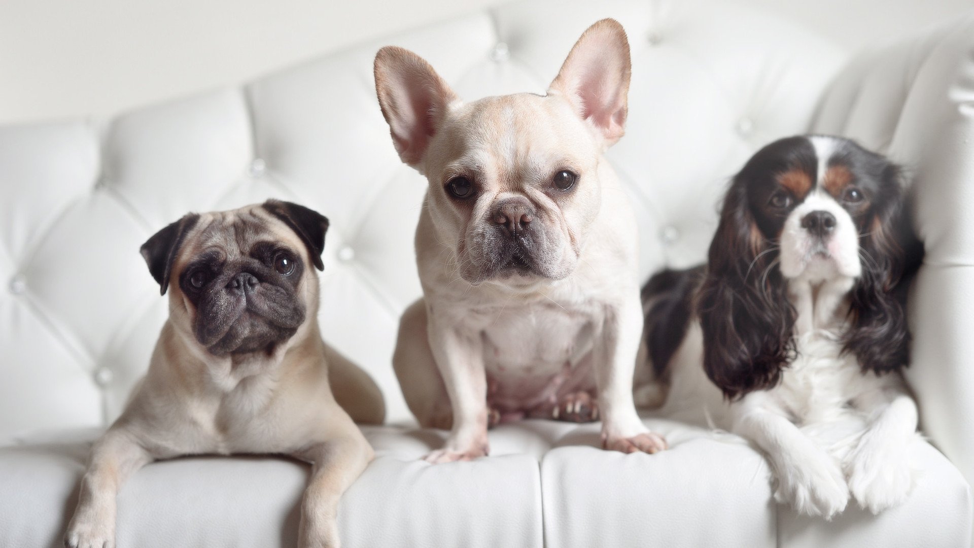 爱游戏-最后一舞的序章，英格拉姆用一记倒钩，改写了所有人的记忆脚本