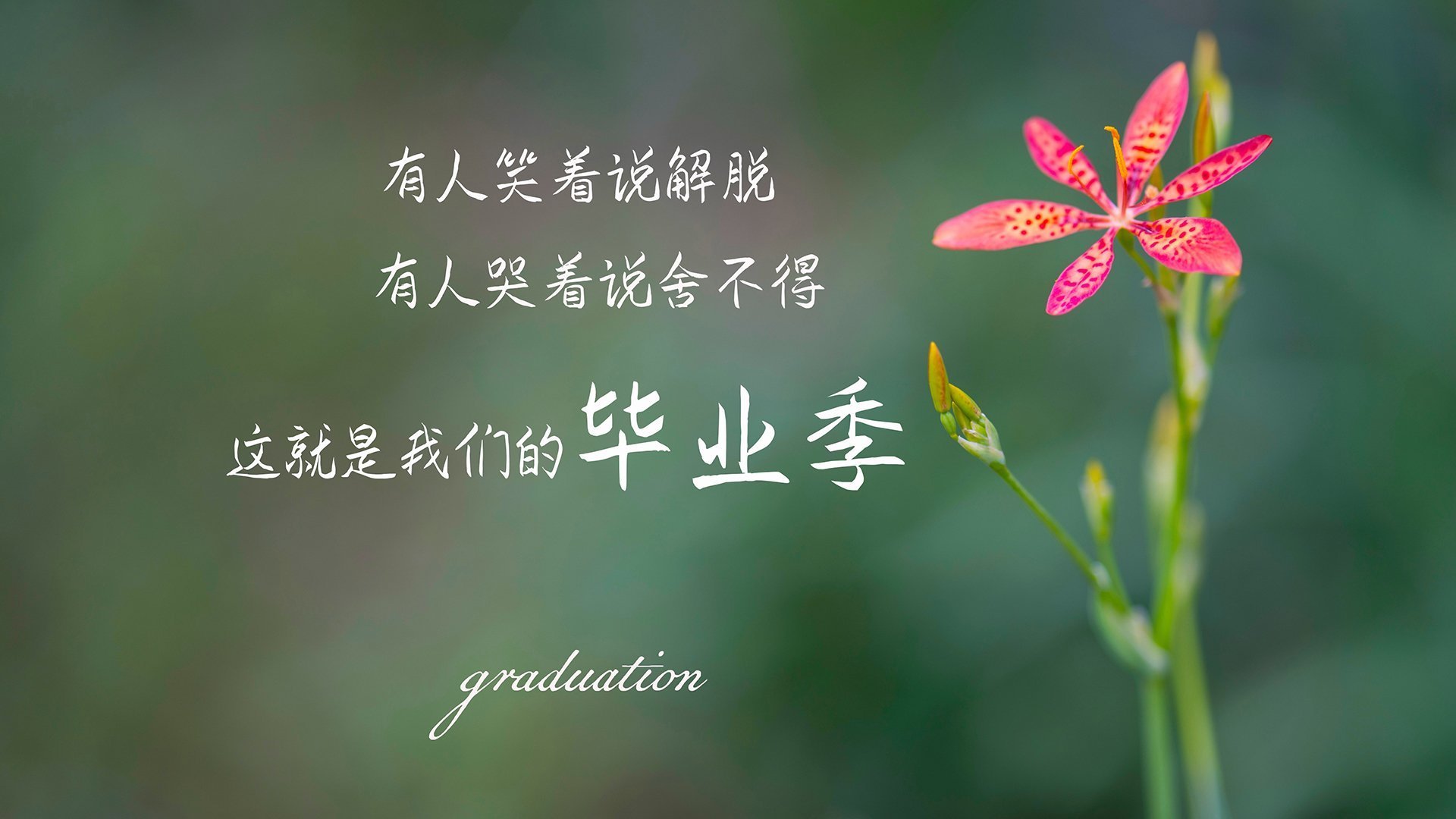 绝地绞杀！活塞窒息防守终结山西，克莱连珠三分轰塌长城