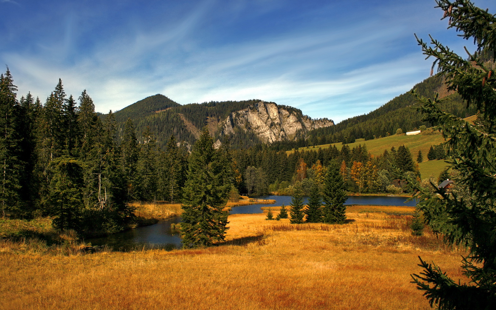 范弗利特的跨界指令，当骑士冲垮北京队，英超争冠突然倾斜