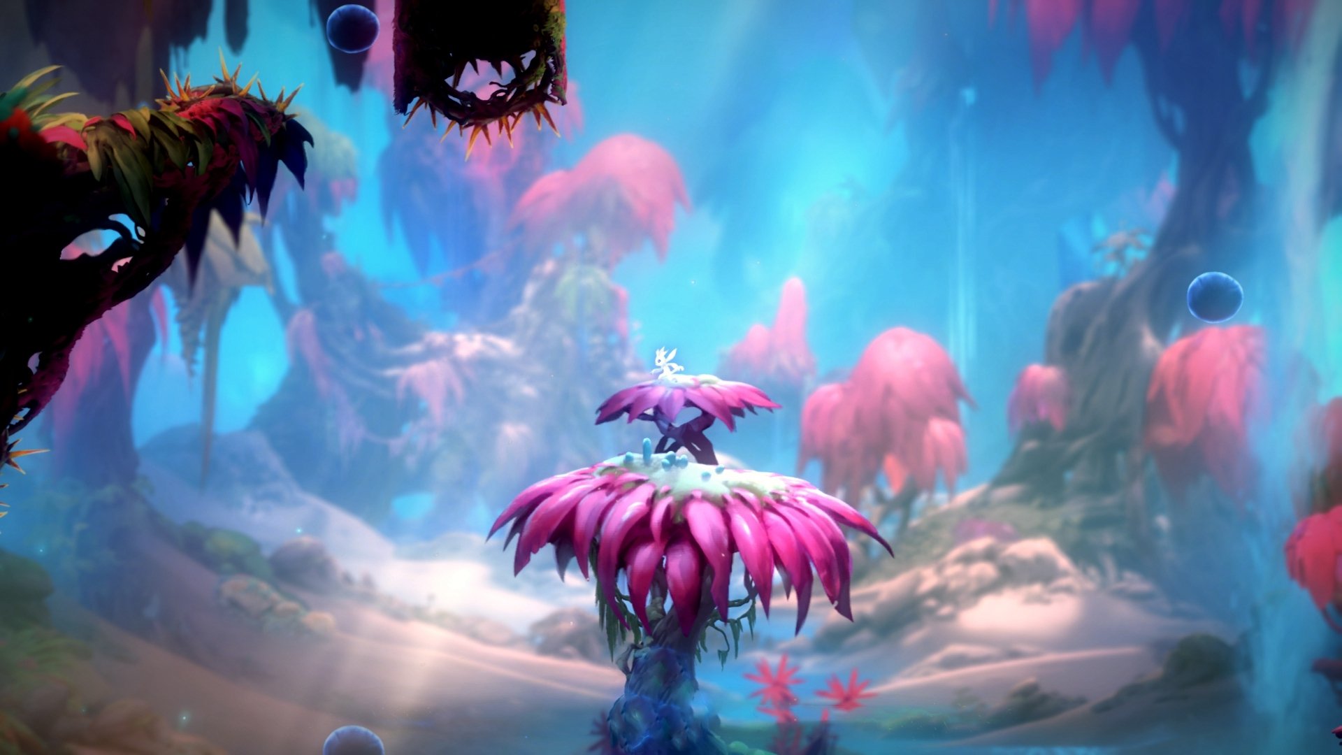 霓虹赛道，一停定乾坤，卡拉斯科在F1街道赛之夜的胜负手传奇