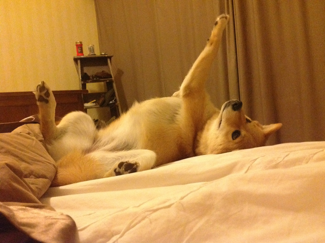 铁蹄踏碎铁壁，西决生死战萨城勇者攻克坚城