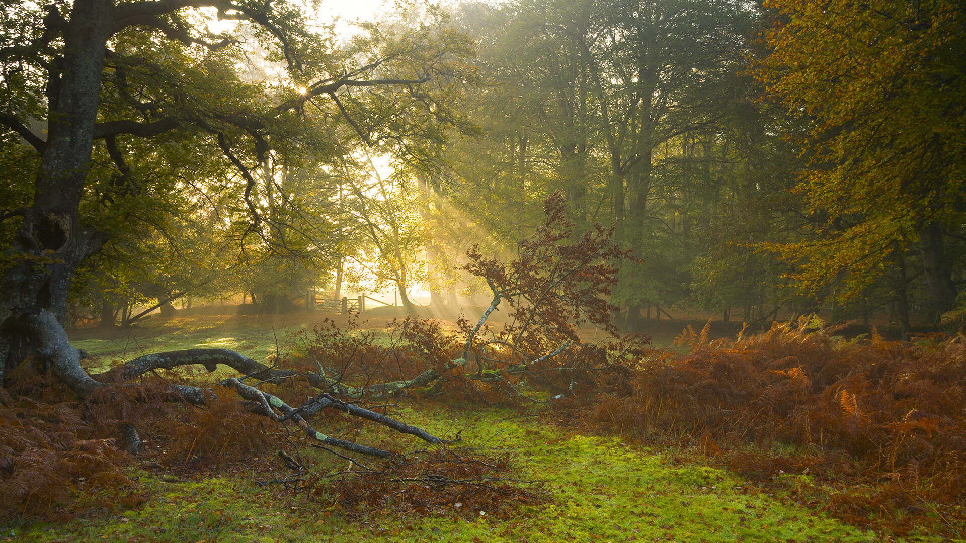 防线与体系的对话，毕尔巴鄂如何用思维与节奏打穿沙特坚壁，若日尼奥成为隐形关键先生