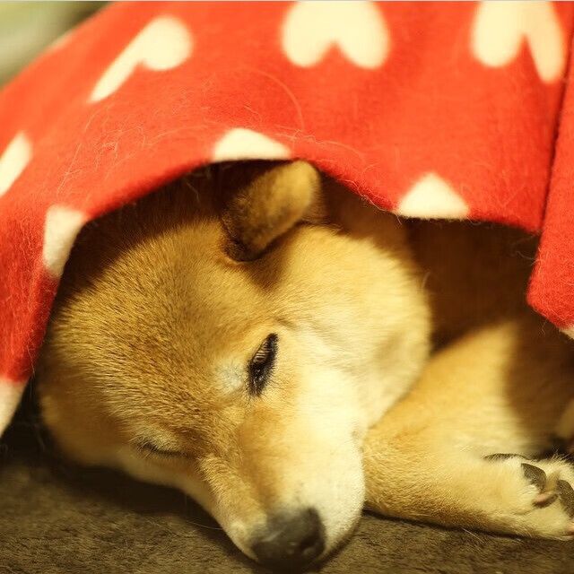 （精选）