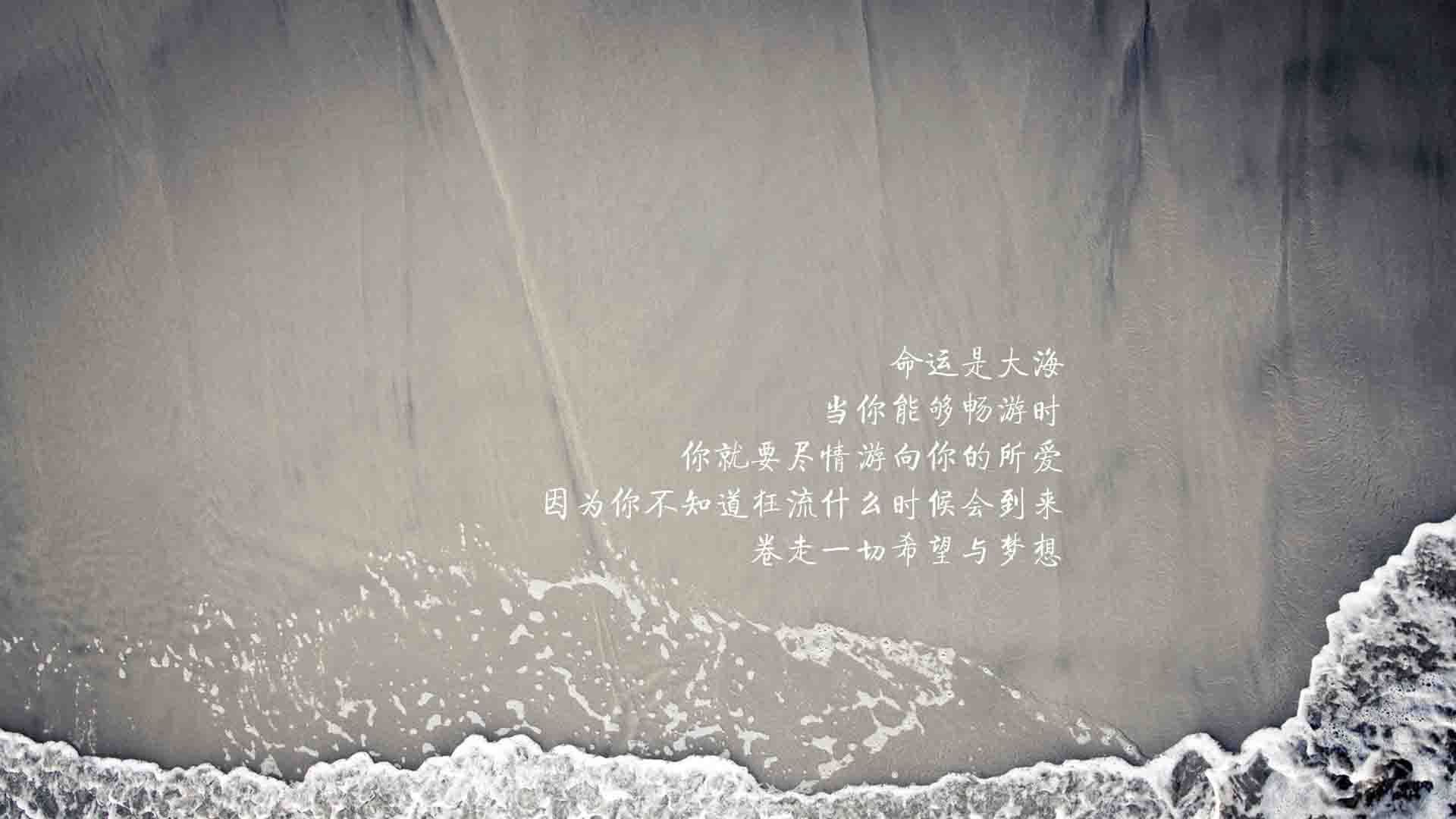 爱游戏APP-萨卡风暴席卷沙漠之师—2026世界杯H组焦点战，斯洛伐克如何用凌厉进攻压垮伊朗
